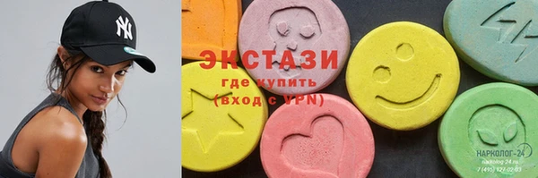 ECSTASY Гусь-Хрустальный