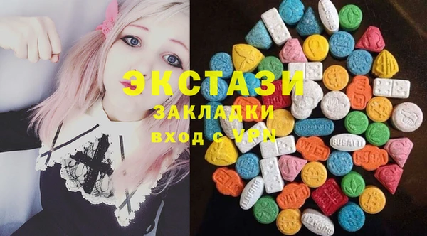 ECSTASY Гусь-Хрустальный