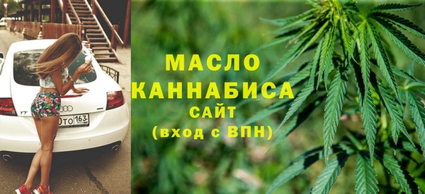 ECSTASY Гусь-Хрустальный
