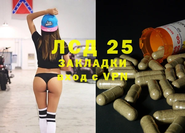 ECSTASY Гусь-Хрустальный