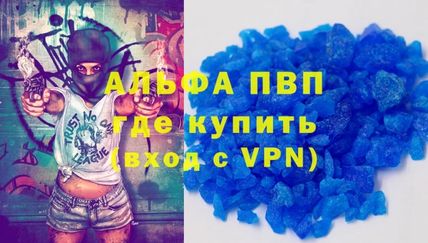 ECSTASY Гусь-Хрустальный