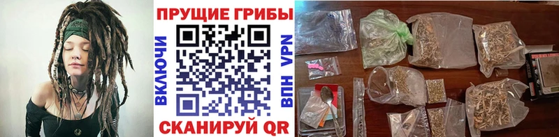 Псилоцибиновые грибы мухоморы  Купить где  Княгинино 